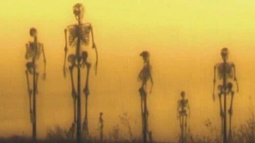 Visions of Suffering Bild 1