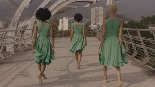 Pássaro Memória Bild 3