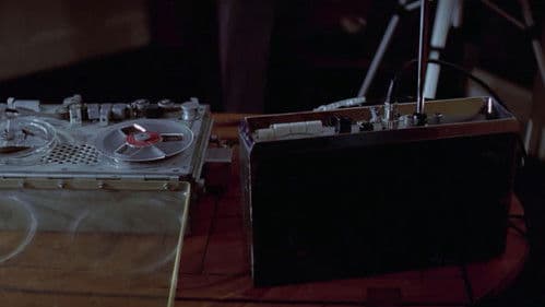 Die Frucht des Tropenbaumes Bild 5