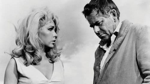 In 48 Stunden Bild 3