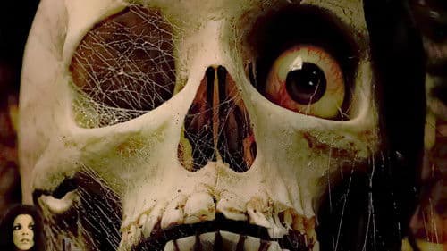 Geschichten aus der Gruft Bild 5