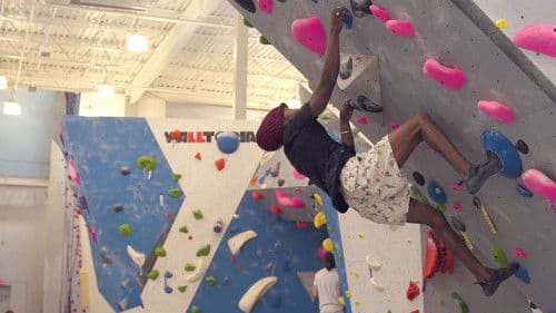 Memphis to the Mountain Bild 3