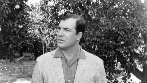 The Woman Chaser Bild 8