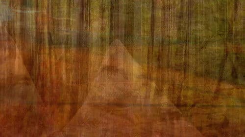 Nett av bortkomne inntrykk Bild 2