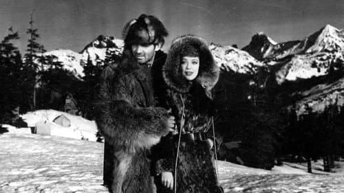 Goldfieber in Alaska Bild 2