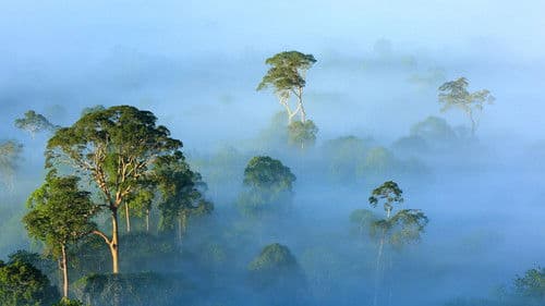 The View From on High Bild 1