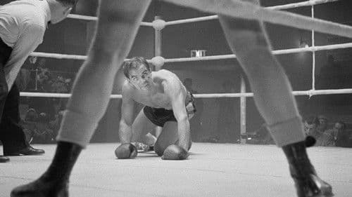 Vier bleiben auf der Strecke Bild 8