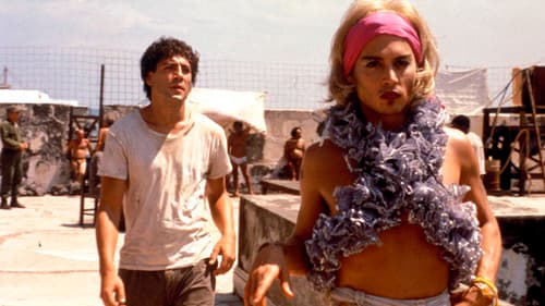 Bevor es Nacht wird Bild 4