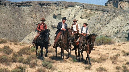 Vier Vögel am Galgen Bild 4