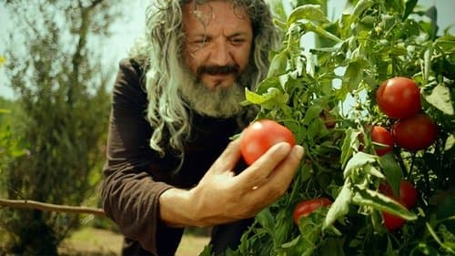 Mandıra Filozofu Bild 1