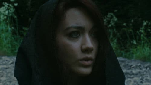 Vindex Flamma Bild 1