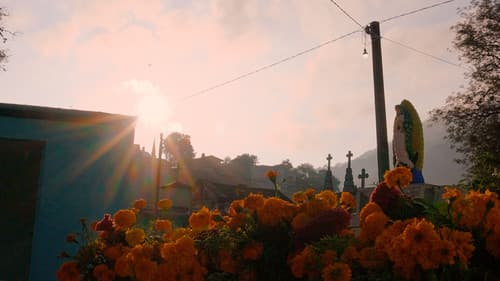 Por lo que Perdimos Bild 6