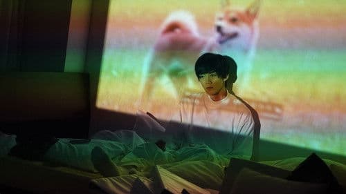 犬、回転して、逃げる Bild 1