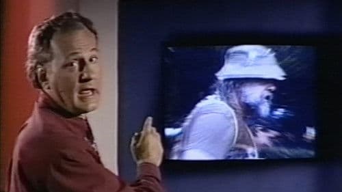 Jacaranda Joe Bild 3