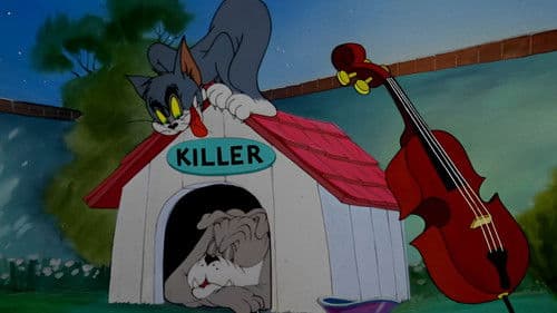 Tom als Troubadour Bild 3