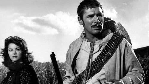 Haut für Haut Bild 3