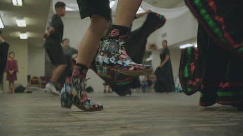 Oaxacalifornia: El Regreso Bild 3