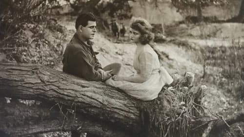 Cyclone Bliss Bild 1