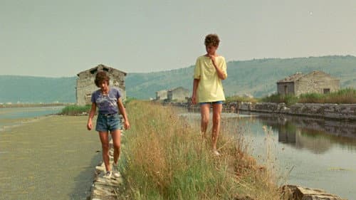 Poletje v školjki Bild 5