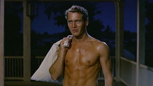 Der lange heiße Sommer Bild 4