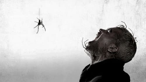 Spiders - Ihr Biss ist der Tod Bild 5