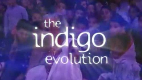 The Indigo Evolution Bild 1