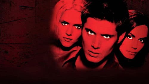 Devour - Der schwarze Pfad Bild 5