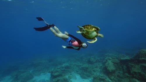 Ultimate Freedive: The Great Barrier Reef Bild 4