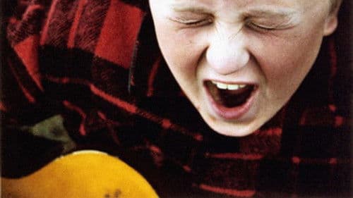 Der Gitarrenmongo Bild 2