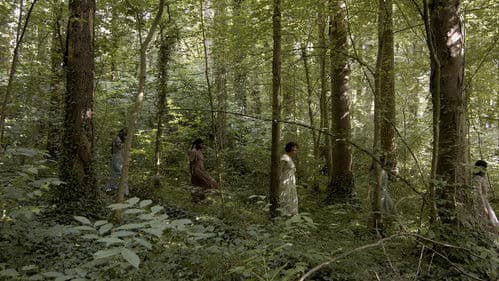 As Melusinas à Margem do Rio Bild 1