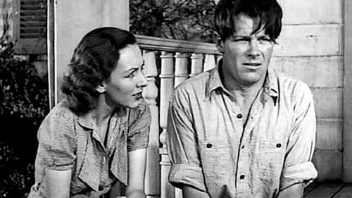 Unser tägliches Brot Bild 6