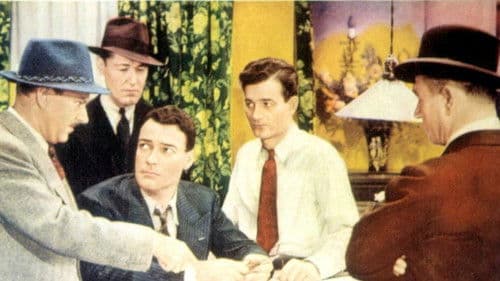 Mystery Plane Bild 1