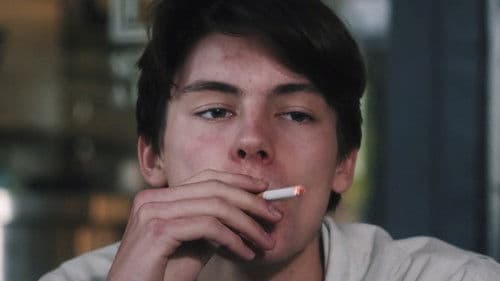 A Day in a Life Bild 1