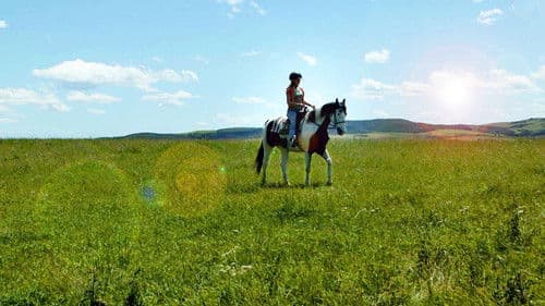 Ein Pferd für Moondance Bild 2