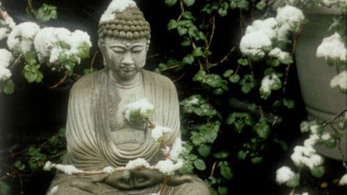 The Odds of Recovery Bild 2