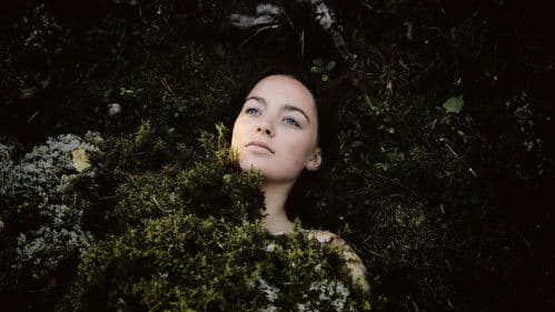 Den sista sommaren Bild 1