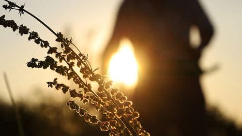 Zahrada Boží Bild 1