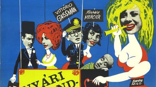 Verrückter Sommer Bild 1