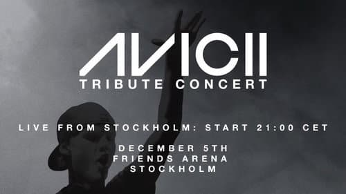 Avicii Tribute Concert - In Loving Memory of Tim Bergling Bild 1