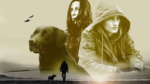 Il fronte interno Bild 1