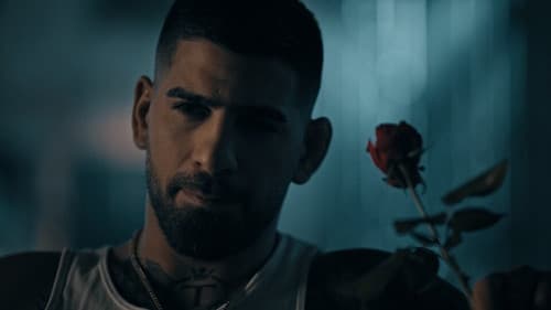 Topuria. Matador Bild 1