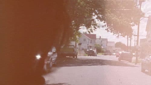 The Brown Bunny Bild 2