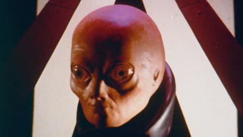 Das Ende der Welt Bild 8