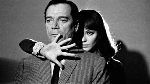 Zum Nachtisch blaue Bohnen Bild 2