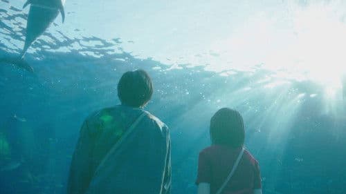 今夜、世界からこの恋が消えても Bild 6