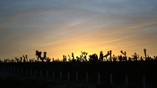 Aranzazú, un recuerdo de ruinas Bild 4