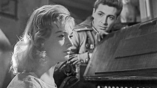 Майские звёзды Bild 1