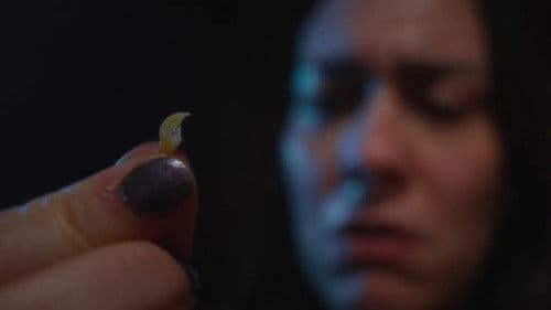 No te las comas Bild 1