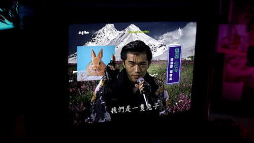 三月的野兔 Bild 2