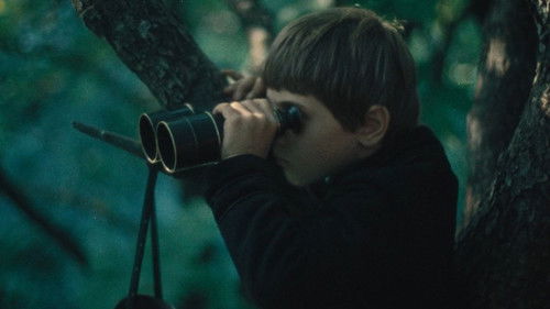 Среди серых камней Bild 1